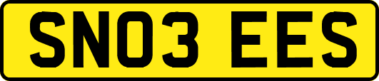 SN03EES