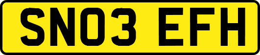 SN03EFH