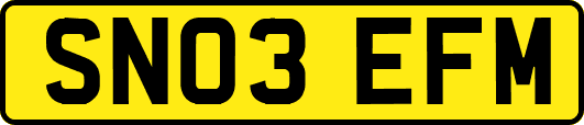 SN03EFM
