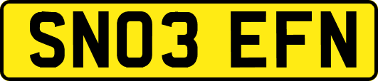 SN03EFN