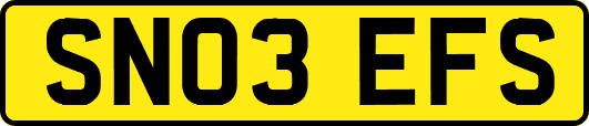 SN03EFS