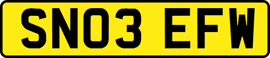 SN03EFW