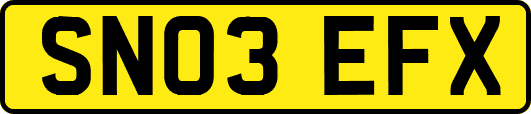 SN03EFX