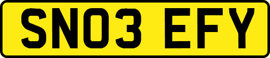 SN03EFY