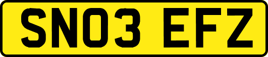 SN03EFZ
