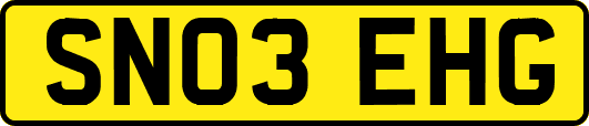 SN03EHG