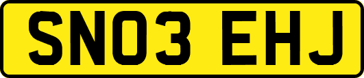 SN03EHJ