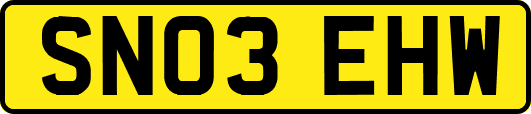 SN03EHW