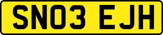 SN03EJH