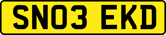 SN03EKD