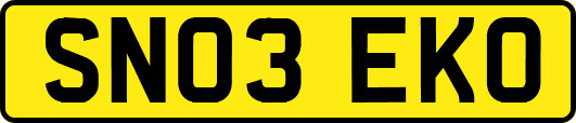 SN03EKO
