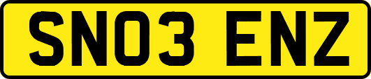 SN03ENZ