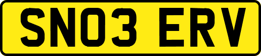 SN03ERV