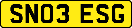 SN03ESG