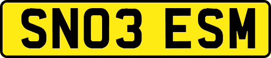 SN03ESM