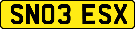 SN03ESX