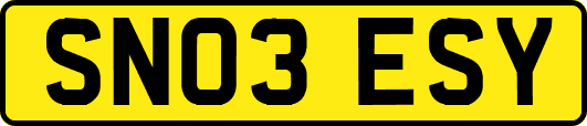 SN03ESY