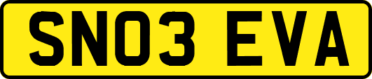 SN03EVA