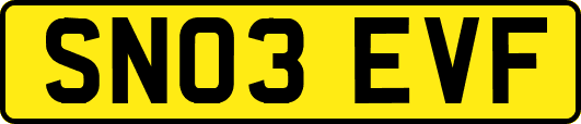 SN03EVF