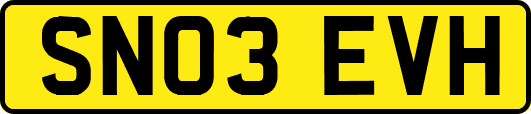 SN03EVH