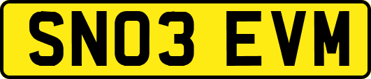 SN03EVM