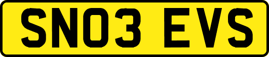 SN03EVS