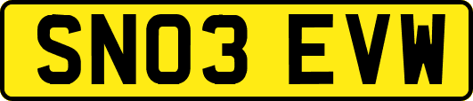 SN03EVW