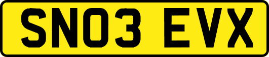 SN03EVX