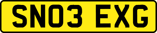 SN03EXG
