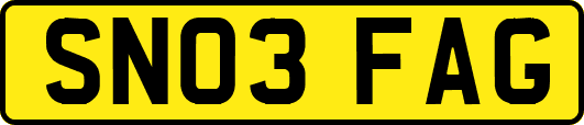 SN03FAG
