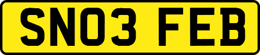 SN03FEB