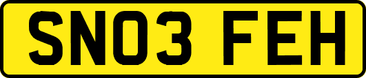 SN03FEH