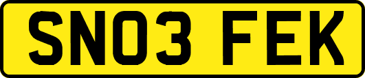 SN03FEK