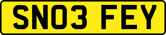 SN03FEY