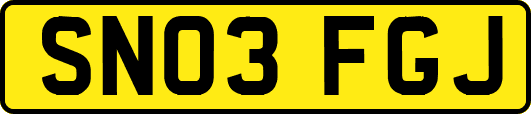 SN03FGJ