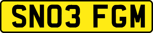 SN03FGM
