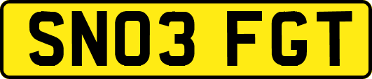 SN03FGT