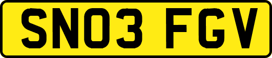 SN03FGV