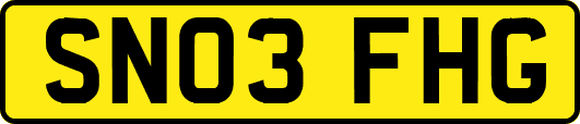 SN03FHG