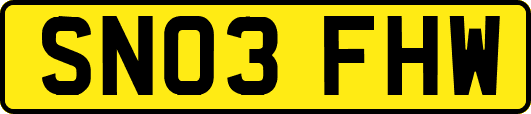 SN03FHW