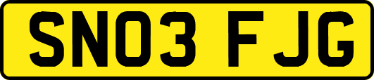 SN03FJG