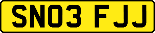 SN03FJJ