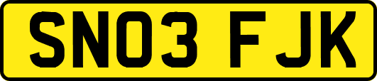 SN03FJK