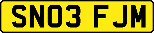 SN03FJM