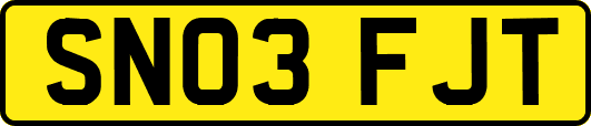 SN03FJT