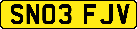 SN03FJV