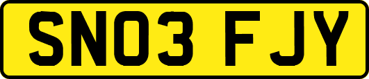 SN03FJY