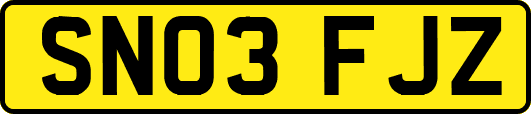 SN03FJZ