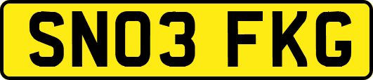 SN03FKG