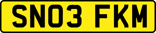 SN03FKM